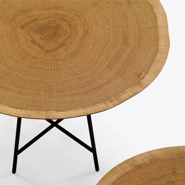 Ligne Roset Alburni Coffee Table