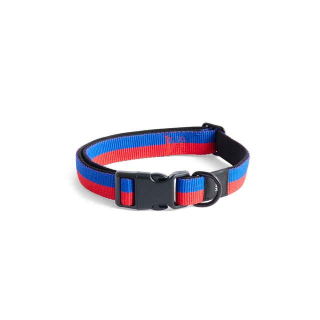 HAY Dogs Collar