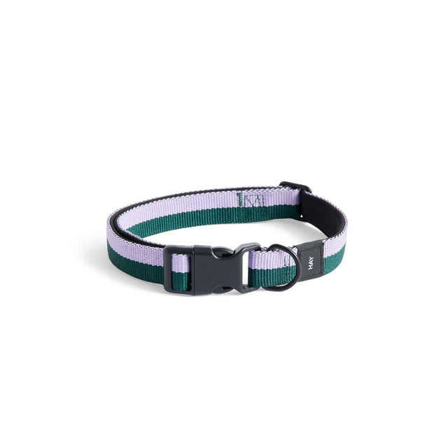 HAY Dogs Collar