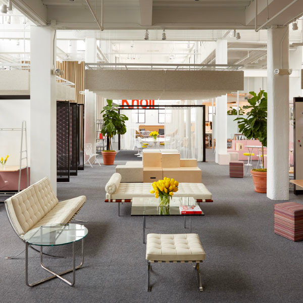 Knoll image