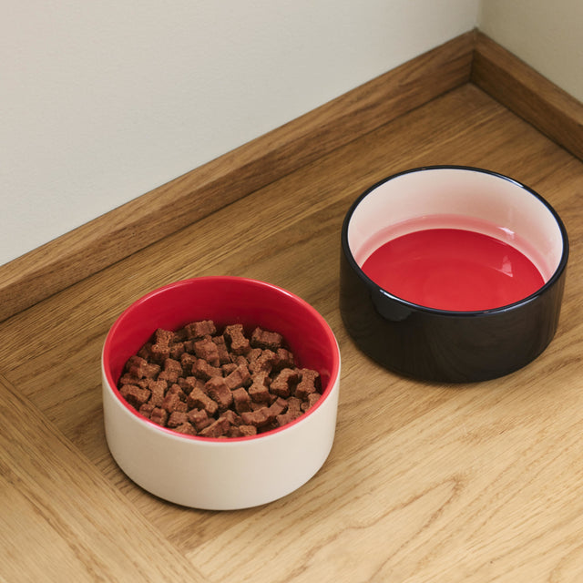 HAY Dogs Bowl