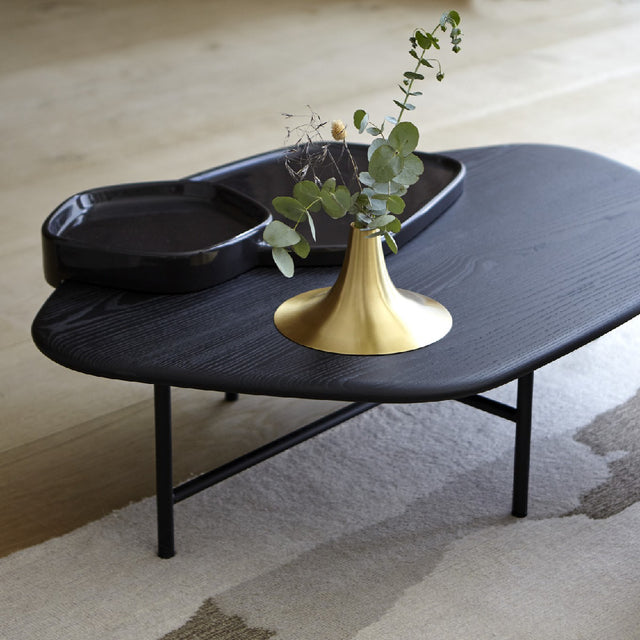Ligne Roset Lewa Coffee Table