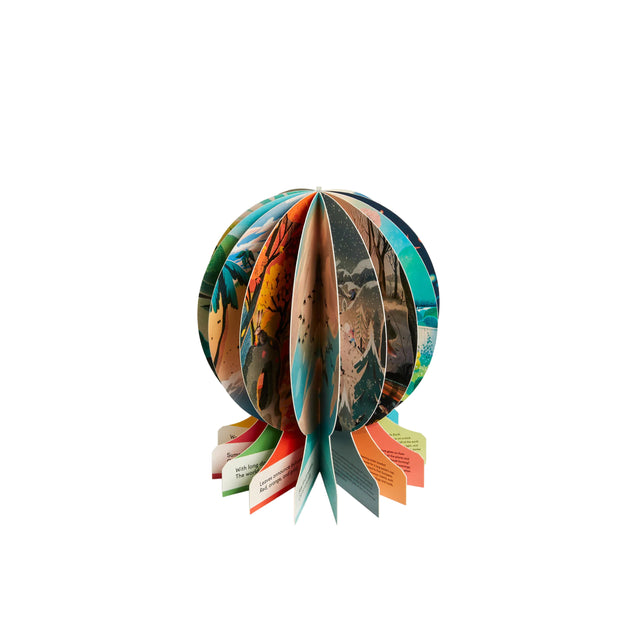 Phaidon Our Seasons: The World in Winter, Spring, Summer, and Autumn