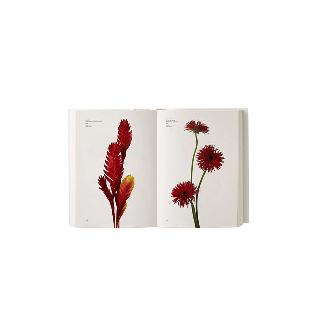 Phaidon Flower Colour Guide