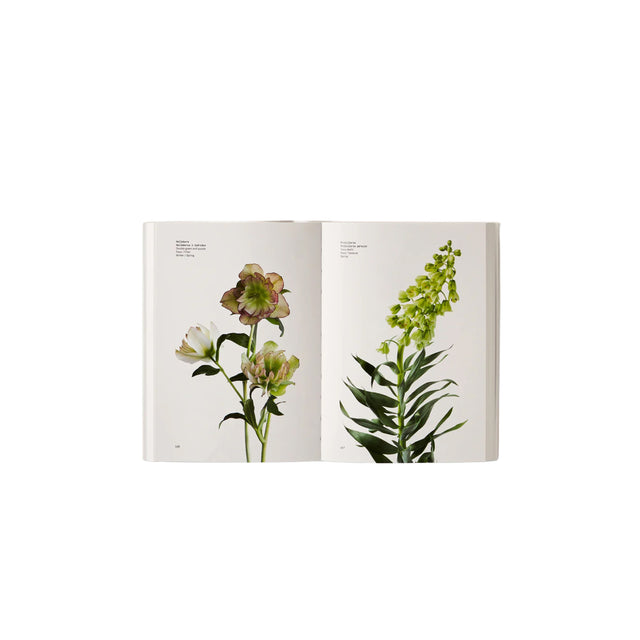 Phaidon Flower Colour Guide