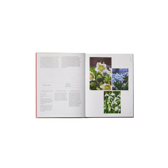 Phaidon The Seasonal Gardener: Creative Planting Combinations