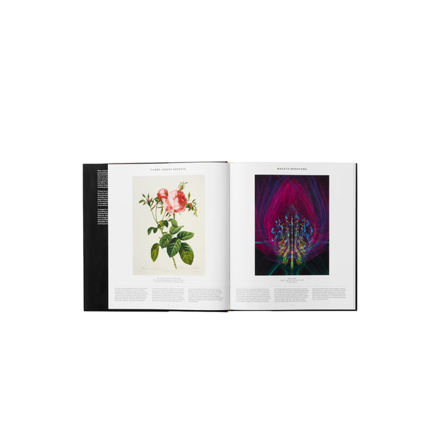 Phaidon Plant: Exploring the Botanical World