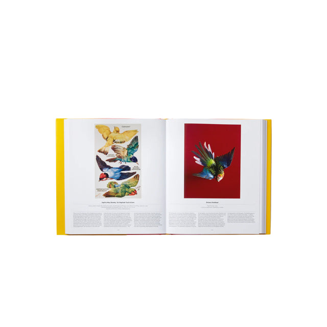 Phaidon Bird: Exploring the Winged World