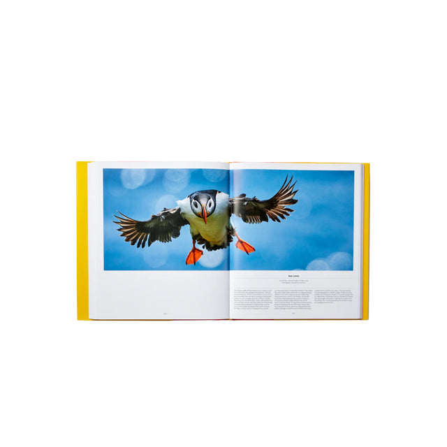 Phaidon Bird: Exploring the Winged World