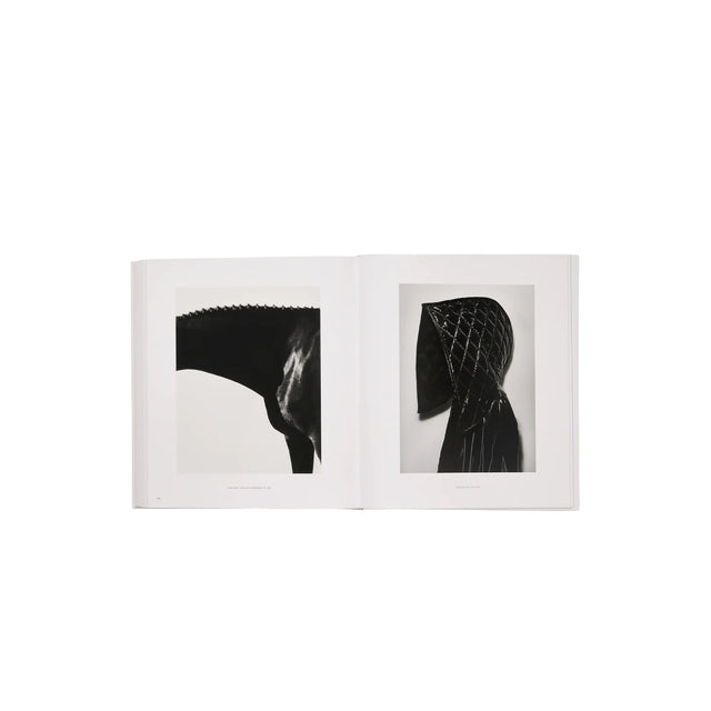 Phaidon Steven Klein