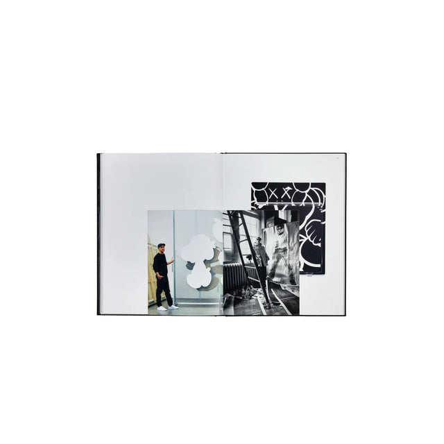 Phaidon KAWS + Warhol Book