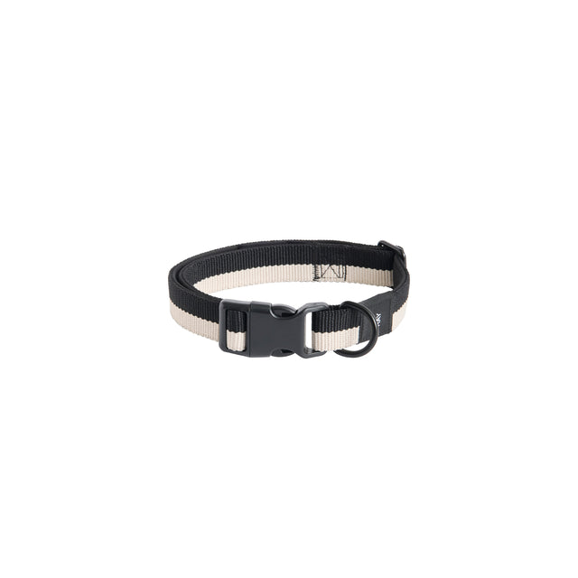 HAY Dogs Collar