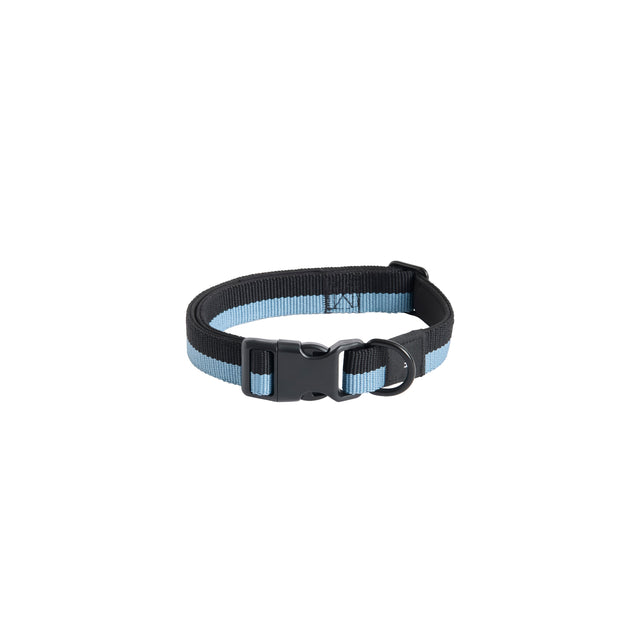 HAY Dogs Collar