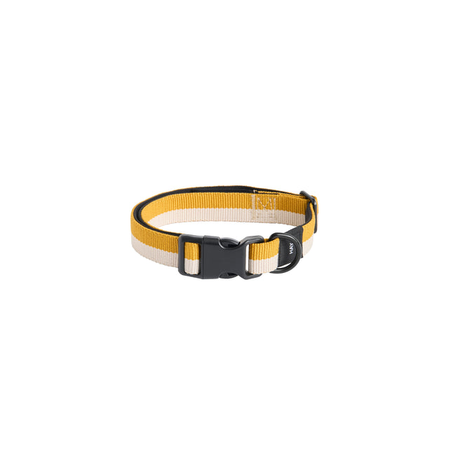 HAY Dogs Collar