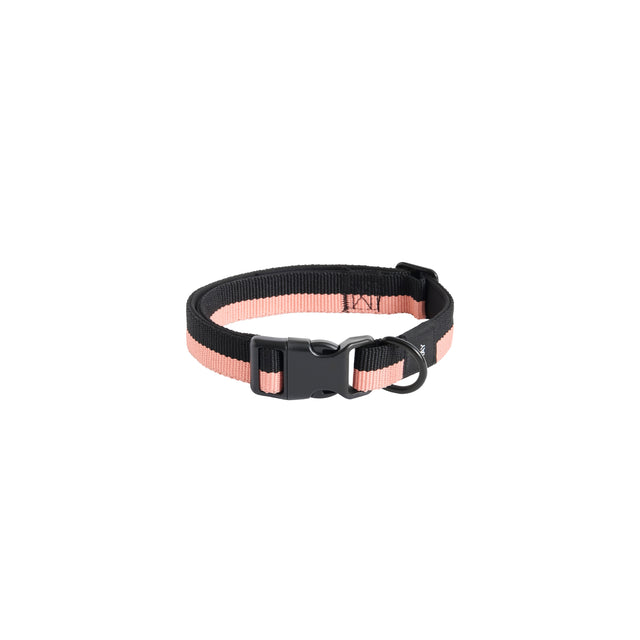 HAY Dogs Collar