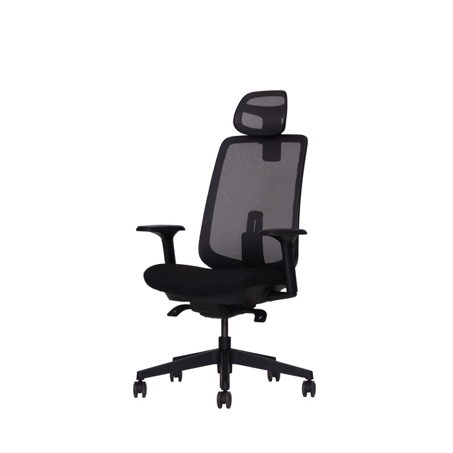 Herman Miller Verus Chair