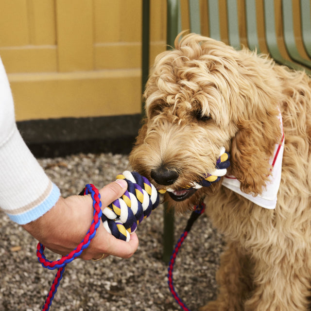 HAY Dogs Rope