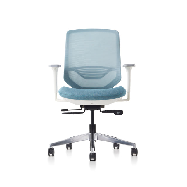 Herman Miller POSH Express 2 Chair