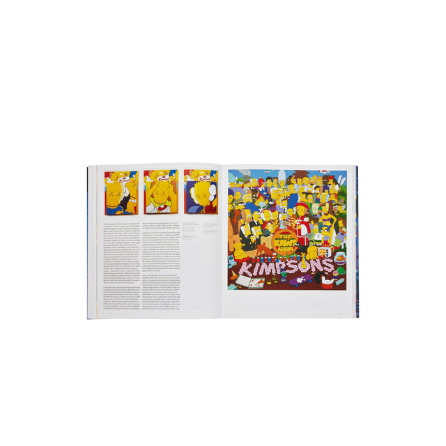 Phaidon KAWS Book