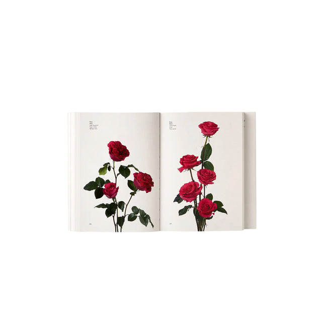 Phaidon Flower Colour Guide