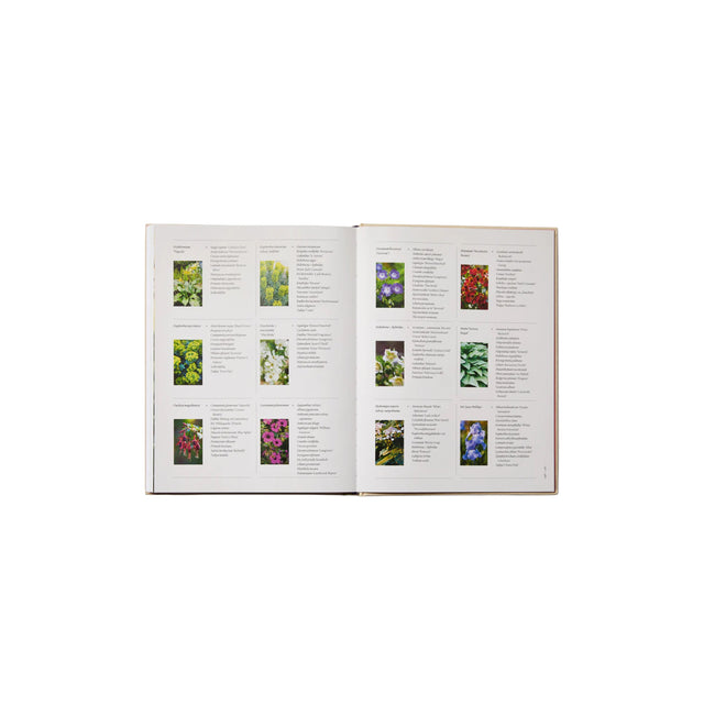 Phaidon The Seasonal Gardener: Creative Planting Combinations
