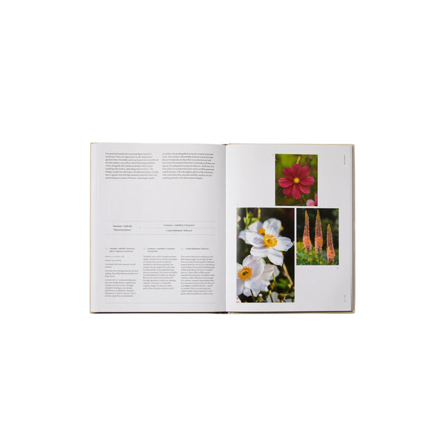 Phaidon The Seasonal Gardener: Creative Planting Combinations