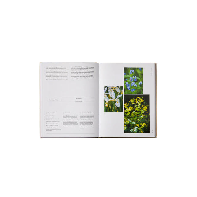 Phaidon The Seasonal Gardener: Creative Planting Combinations