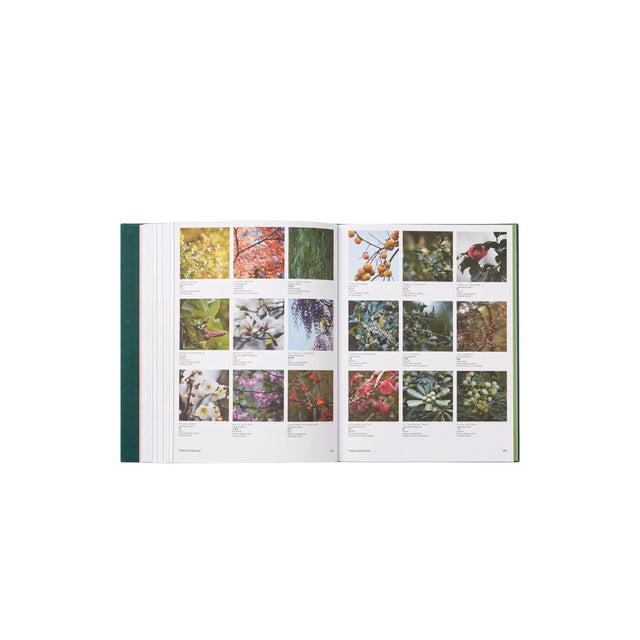 Phaidon The Japanese Garden