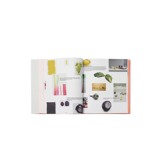 Phaidon Reproducing Scholten & Baijings (2015)